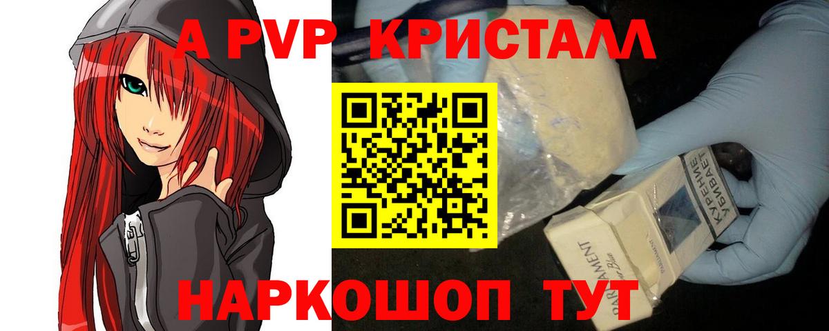Альфа ПВП СК Карабулак