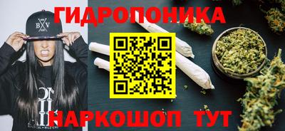 ECSTASY Будённовск