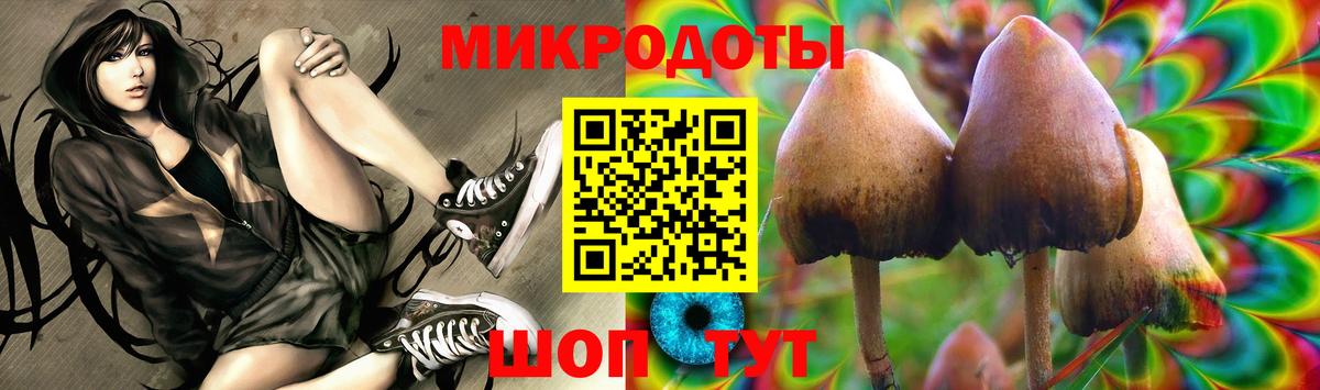 Псилоцибиновые грибы прущие грибы Карабулак
